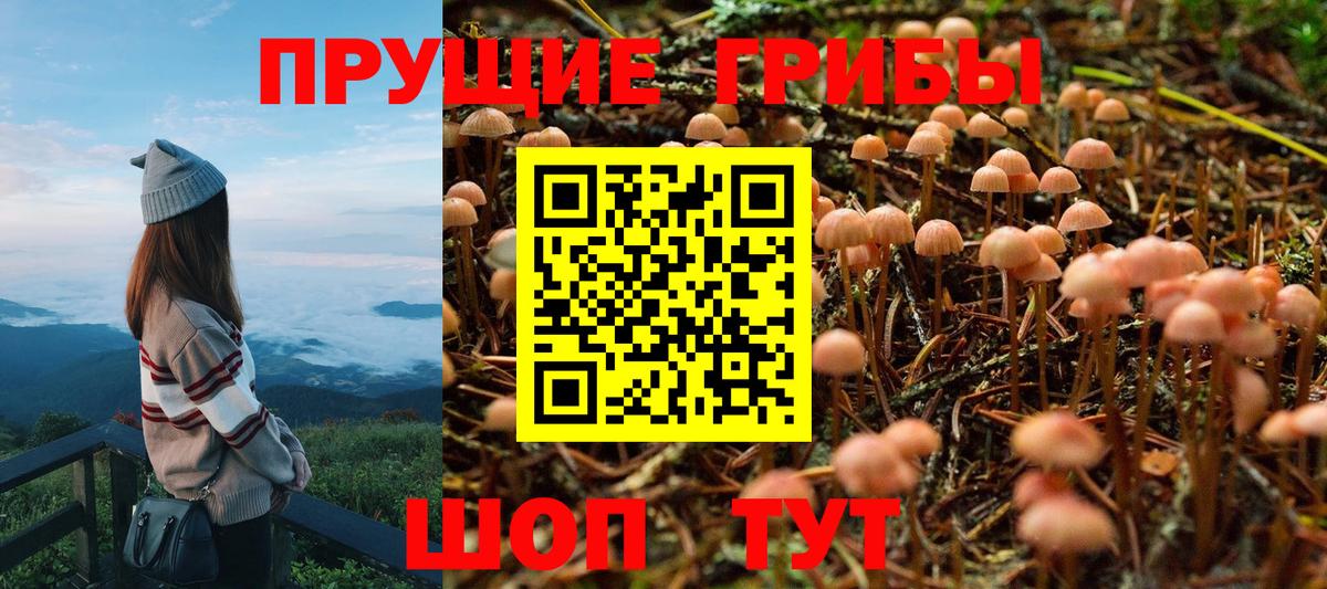 Галлюциногенные грибы MAGIC MUSHROOMS Азнакаево
